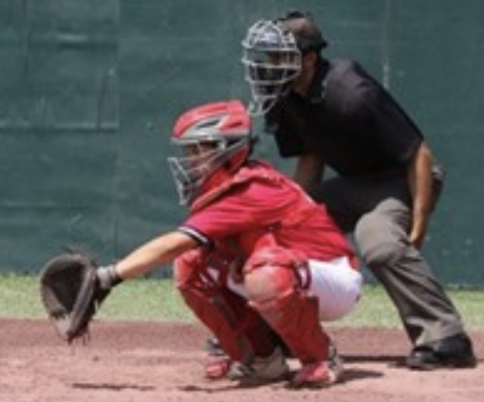 Founder of BlueAssignor Umpiring